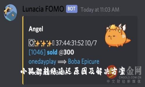 小狐狸转账延迟原因及解决方案